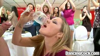 Dancingcock పెద్ధమొడ్ఢ వేడుక